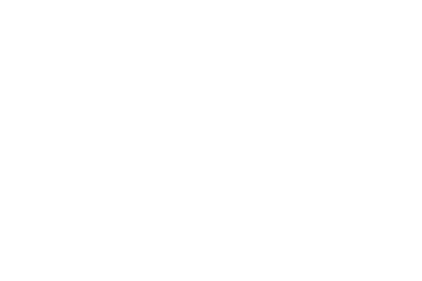 Nvidia White Vertical Logo.wine