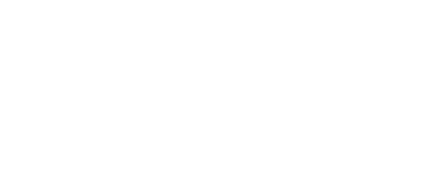 NZ Post logo horizontal white